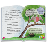 The Riddle of the Robin Book (WellieWishers™) Q5