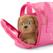 Packed with Fun Luggage Set for 18-inch Dolls A3