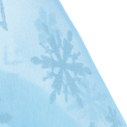 Disney Frozen Elsa Doll by American Girl® D1
