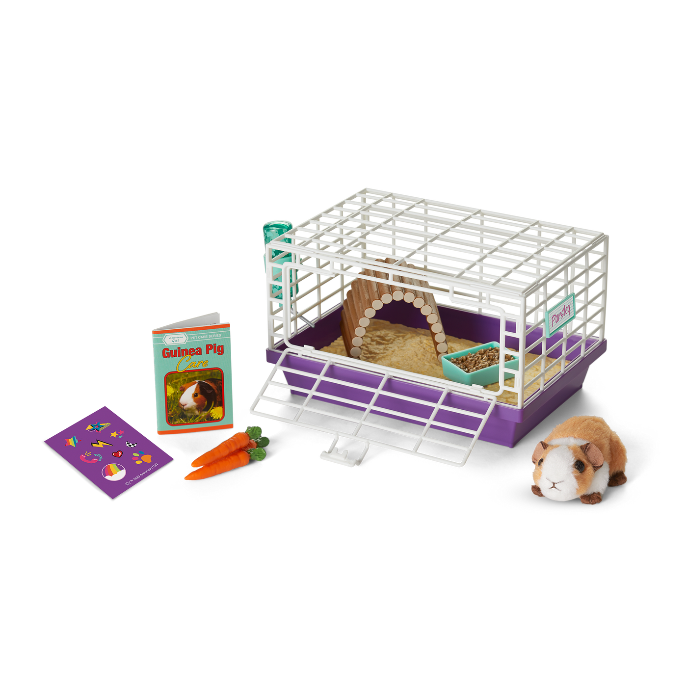 Courtney's™ Guinea Pig (Historical Characters) Q7