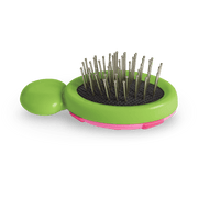 Little Ladybug Brush L0