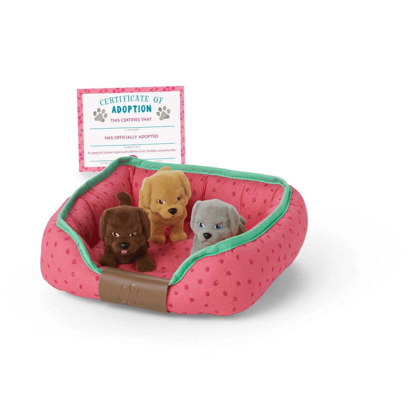 All the Puppies Set V9